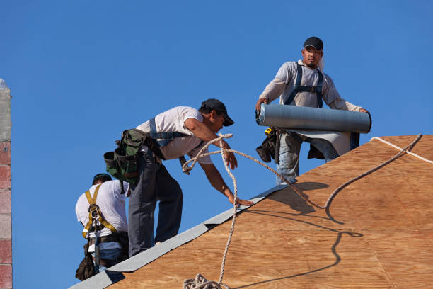 Best Gutter Installation and Roofing  in Cricket, NC