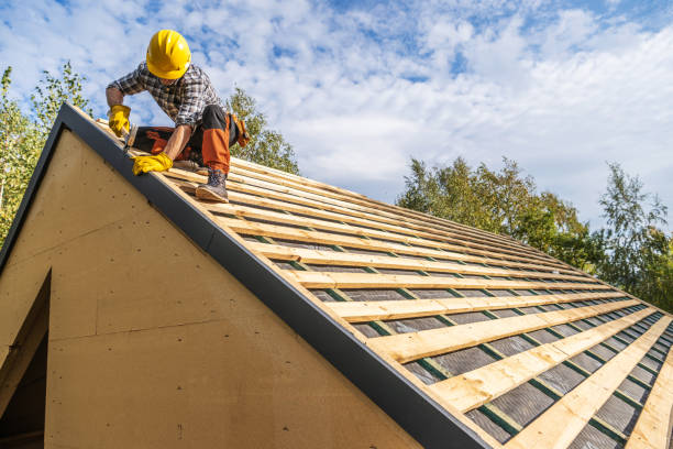 Best Roof Gutter Cleaning  in Cricket, NC
